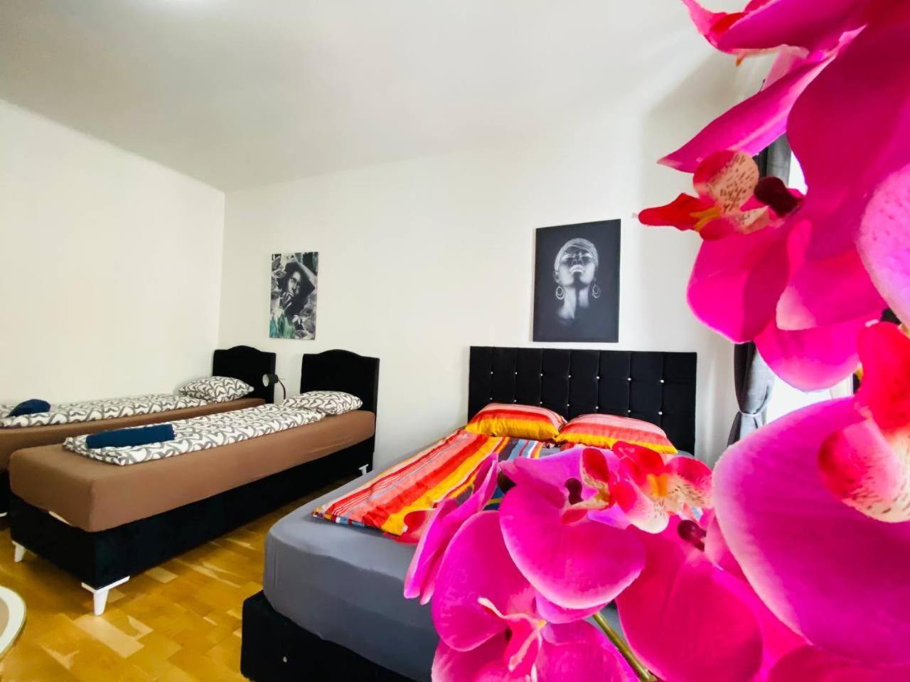 Deluxe Studio In Josefstaedter Strasse Area Διαμέρισμα Βιέννη Εξωτερικό φωτογραφία