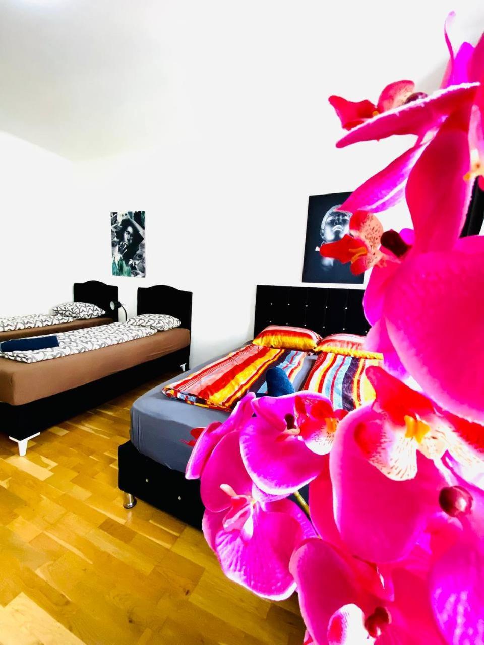 Deluxe Studio In Josefstaedter Strasse Area Διαμέρισμα Βιέννη Εξωτερικό φωτογραφία
